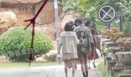 秦岚八卦最新爆料视频,揭秘明星背后的故事